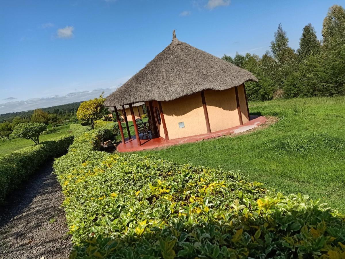 The Great Circle Lodge Наньюки Экстерьер фото