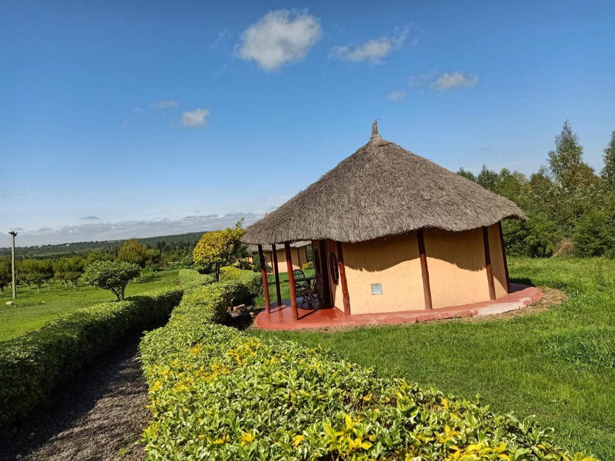 The Great Circle Lodge Наньюки Экстерьер фото