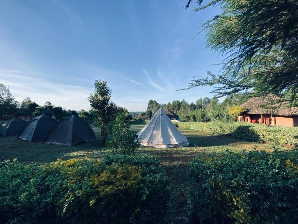 The Great Circle Lodge Наньюки Экстерьер фото
