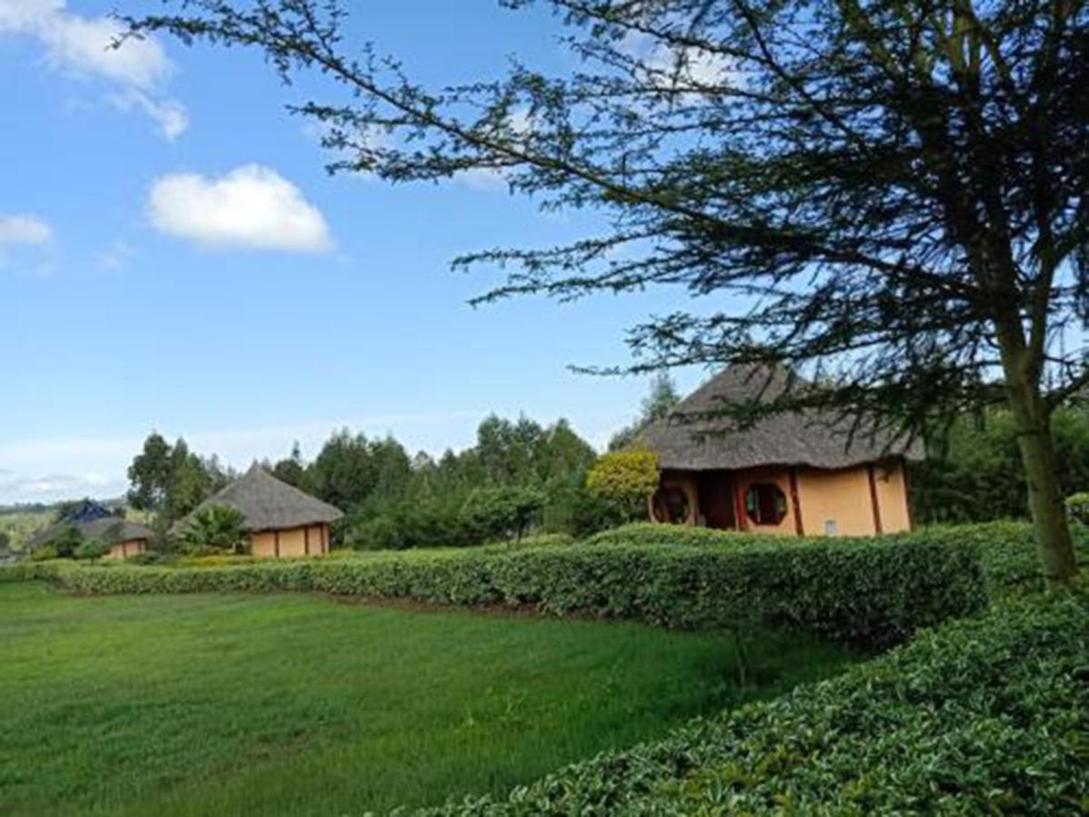 The Great Circle Lodge Наньюки Экстерьер фото